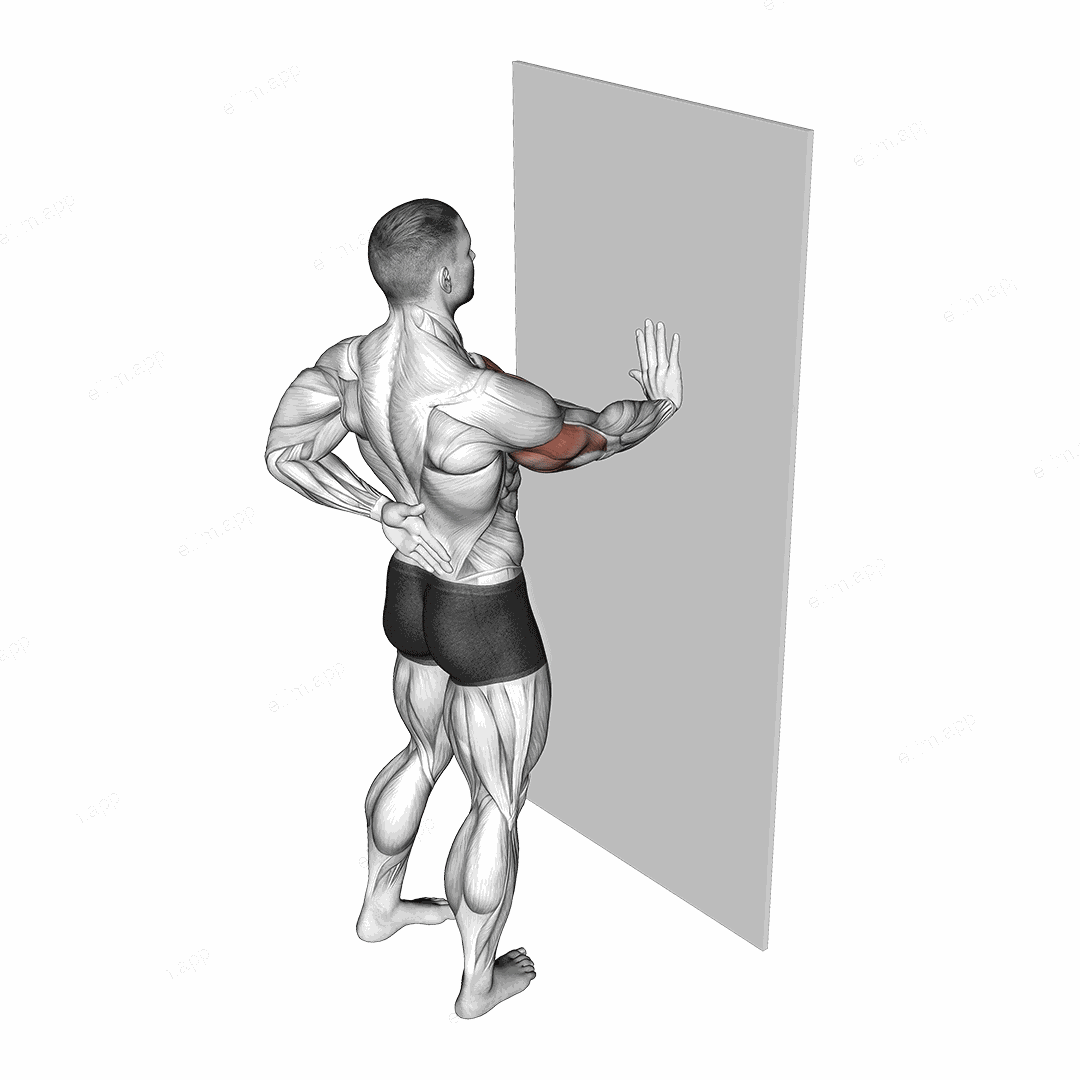 Single Arm Push-up Supported Wall exercise targeting Chest and Pectoralis Major Clavicular Head