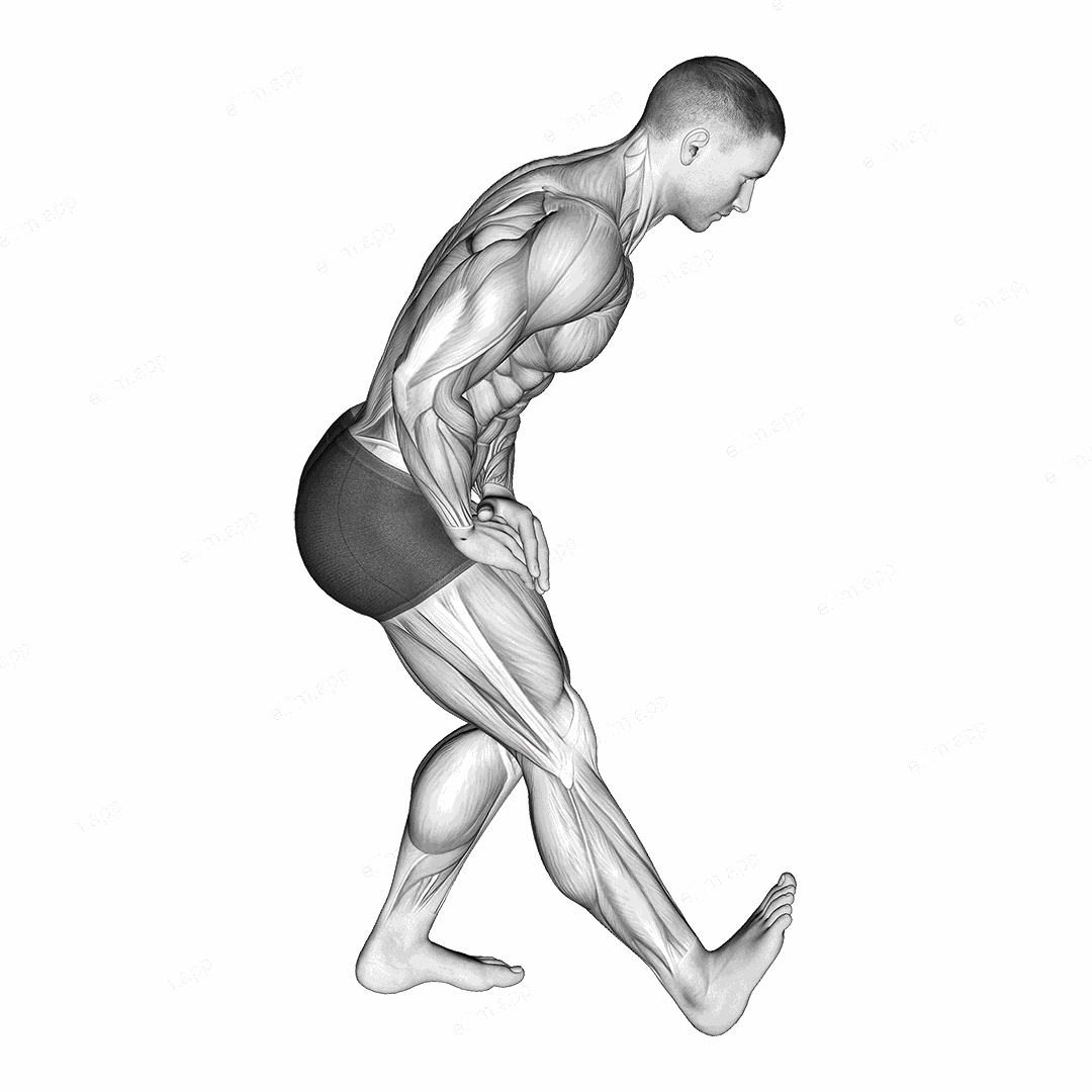 Standing Toe Up Hamstring Stretch exercise targeting Thighs