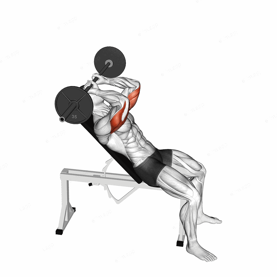 Barbell Incline Triceps Extension Skull Crusher exercise targeting Upper Arms and Triceps Brachii