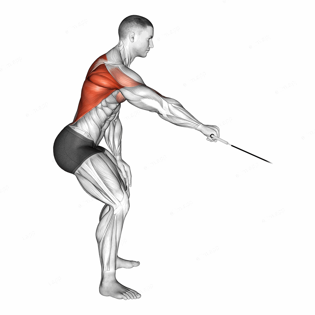 Cable Palm Rotational Row exercise targeting Back and Infraspinatus