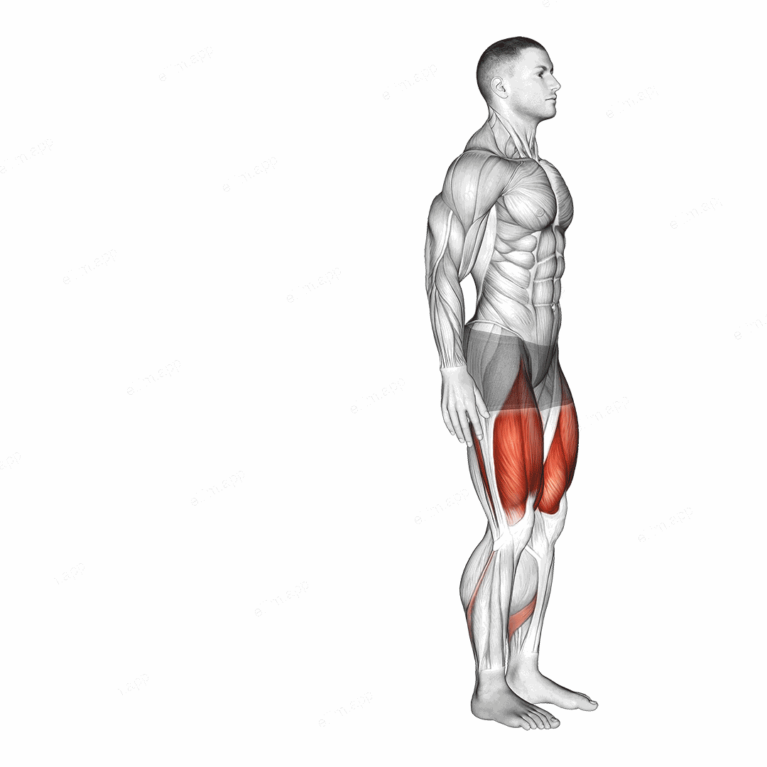Bodyweight Rear Lunge exercise targeting Thighs and Gluteus Maximus