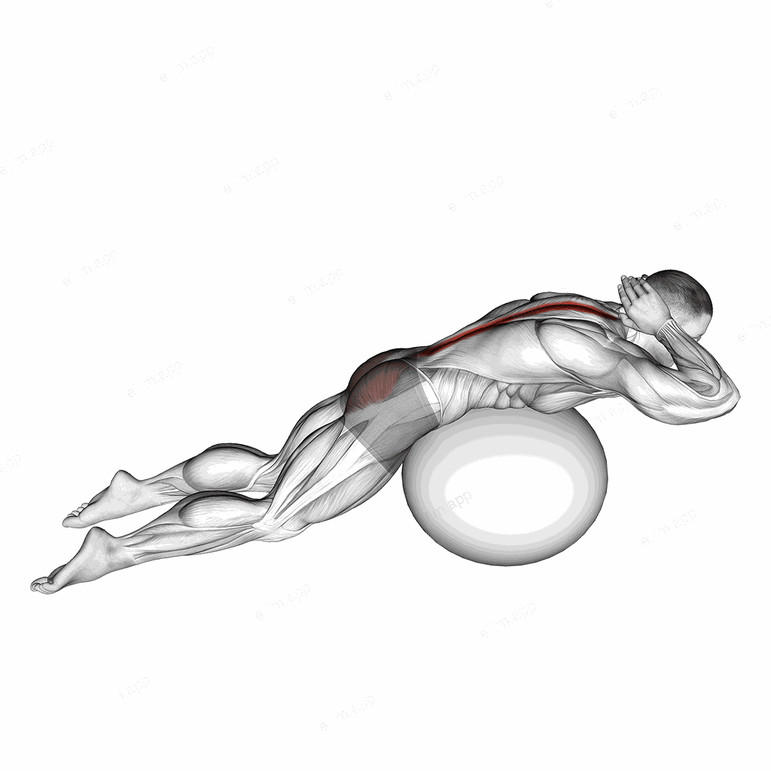 Exercise Ball Back Extension With Hands Behind Head exercise targeting Back and Erector Spinae