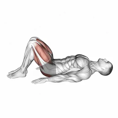 Rear Decline Bridge exercise targeting Waist and Gluteus Maximus