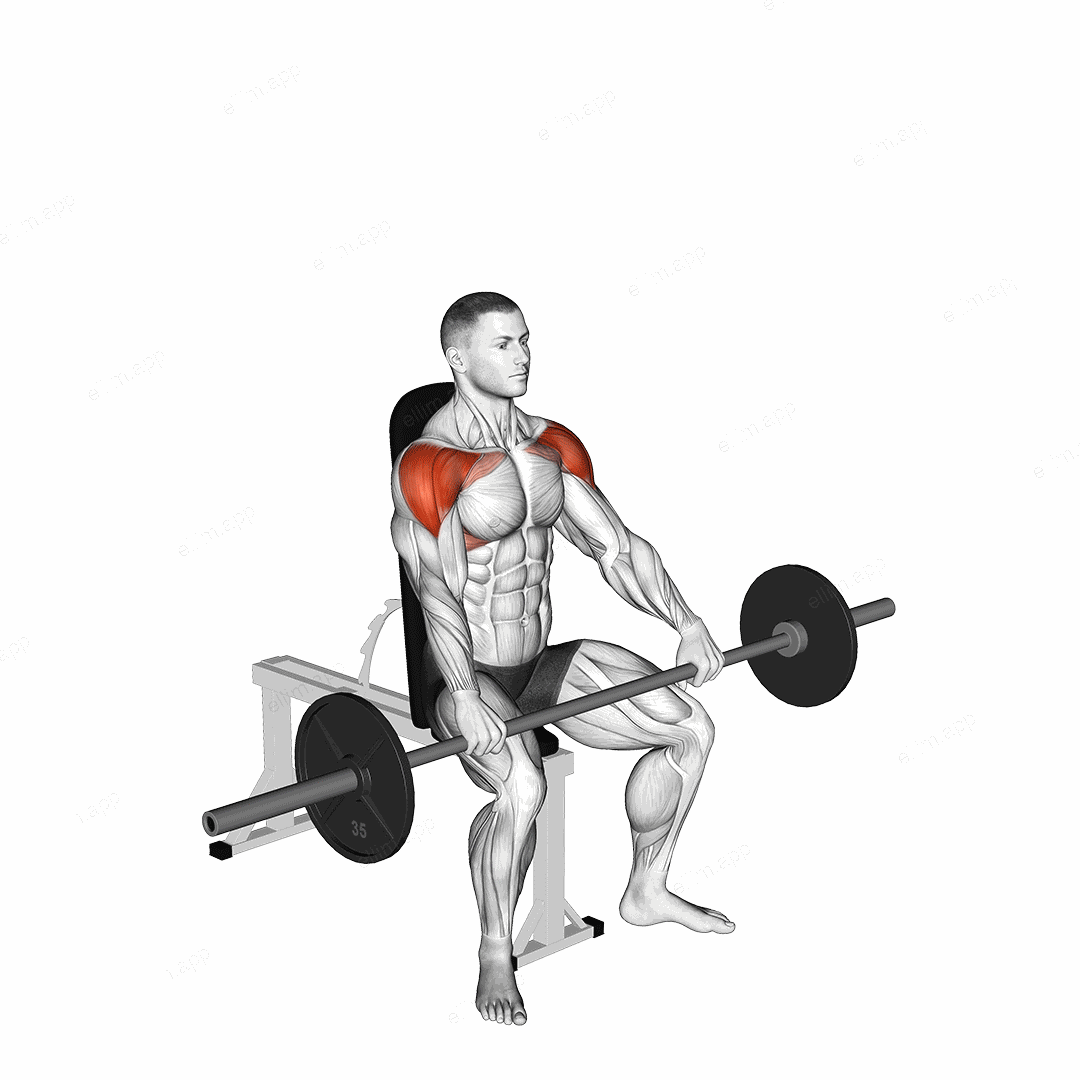 Barbell Seated High Front Raise exercise targeting Shoulders