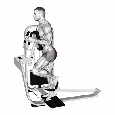Lever Glute Press exercise targeting Hips