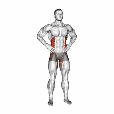 Standing Side Leg Raise exercise targeting Hips and Gluteus Medius