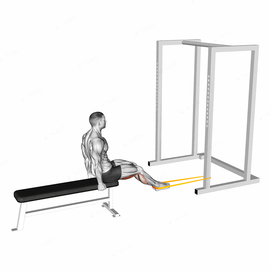 Resistance Band Seated Leg Curl exercise targeting Thighs and Hamstrings