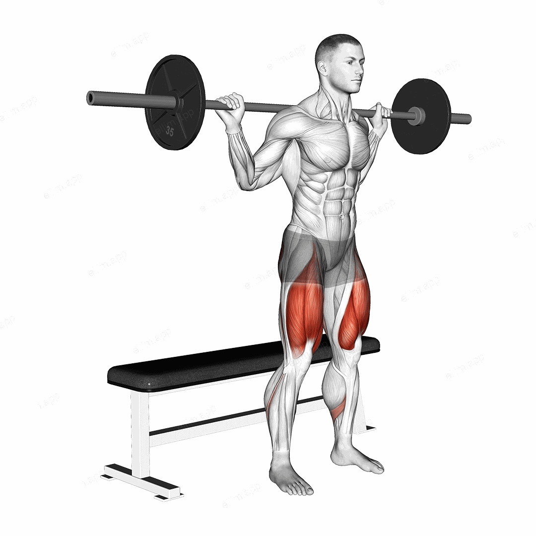 Barbell Bench Squat exercise targeting Hips and Quadriceps