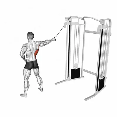 Single Arm Side Straight Arm Lat Pulldown exercise targeting Back and Latissimus Dorsi