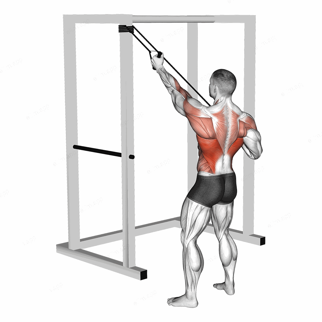 Band Alternate Lat Pulldown with Twist exercise targeting Back and Latissimus Dorsi