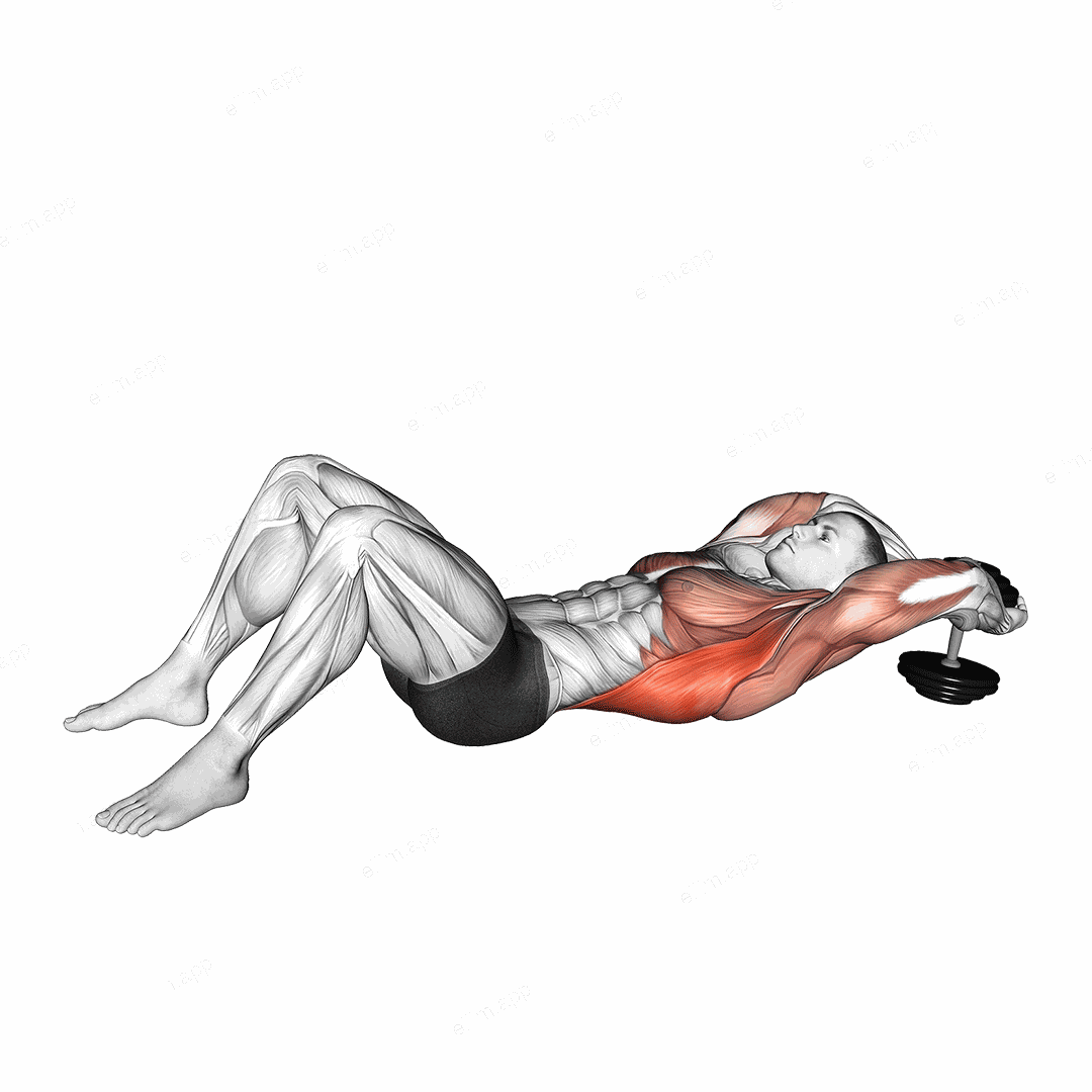 Dumbbell Pullover on floor exercise targeting Back and Pectoralis Major Sternal Head