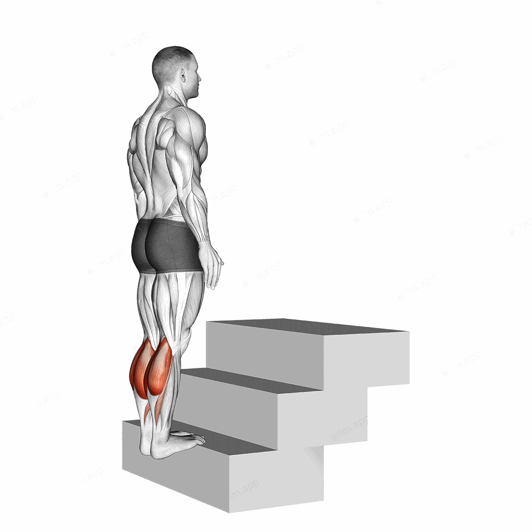 Standing Calf Raise (On a staircase) exercise targeting Calves and Gastrocnemius