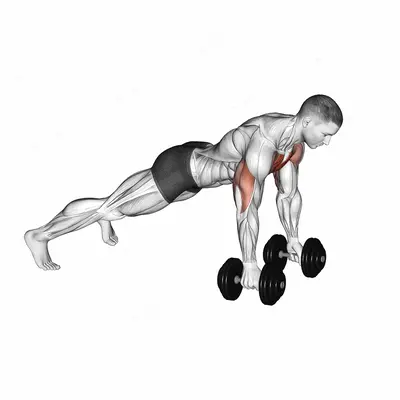 Deep Push Up exercise targeting Chest and Pectoralis Major Sternal Head