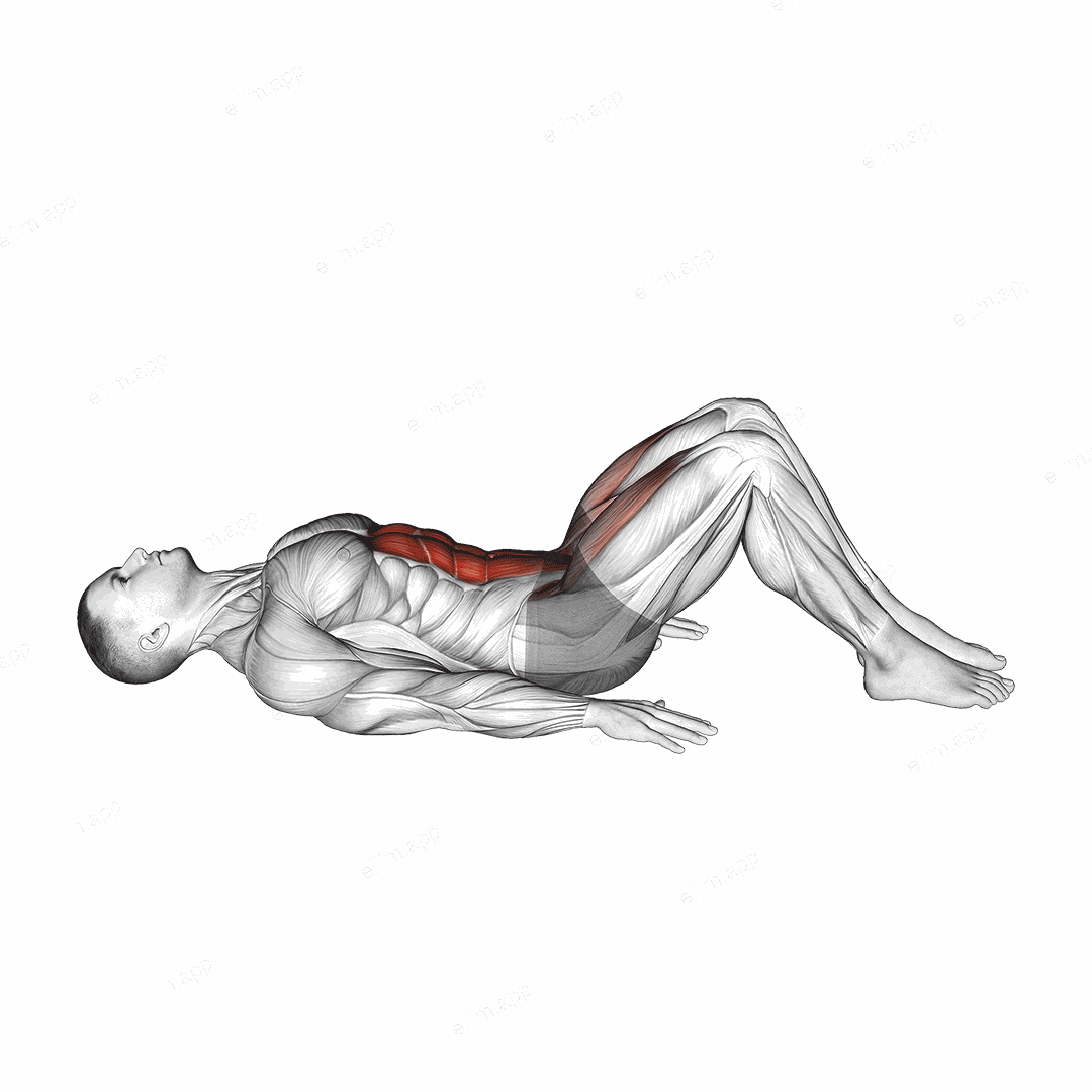 Lying Leg Raise (Modified) exercise targeting Hips and Iliopsoas
