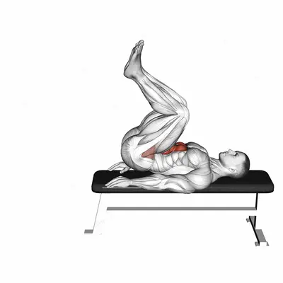 Leg Pull In Flat Bench exercise targeting Waist and Rectus Abdominis