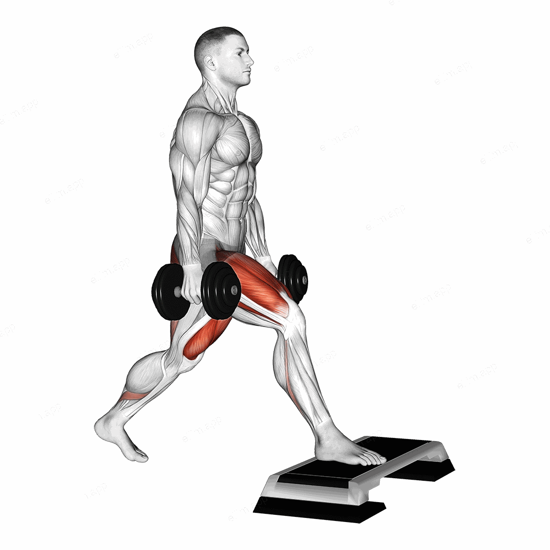 Dumbbell Split Squat Front Foot Elevanted exercise targeting Thighs and Gluteus Maximus