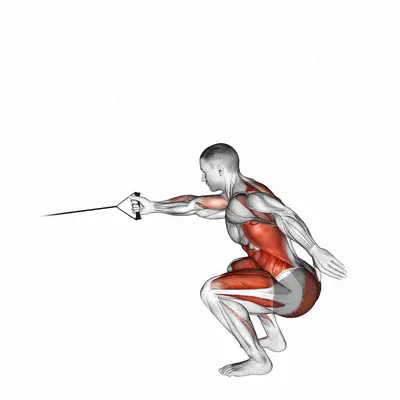 Band Squat with Single Arm Row exercise targeting Back and Thighs