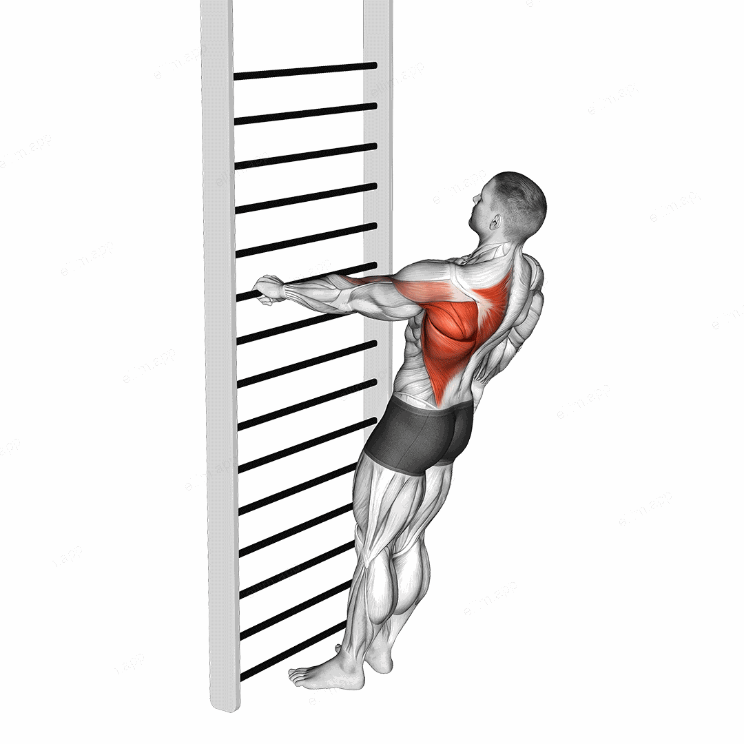 Bodyweight Standing One Arm Row exercise targeting Back and Infraspinatus