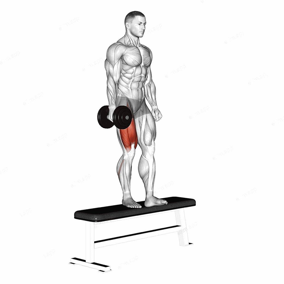 Dumbbell Bench One Leg Squat exercise targeting Thighs