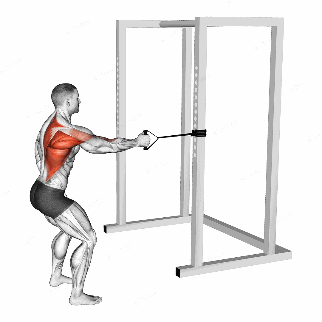 Band Standing Single Arm Row exercise targeting Back