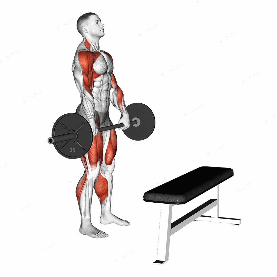 Barbell Complex Stiff Leg Deadlift Clean Step exercise targeting Hips and Shoulders