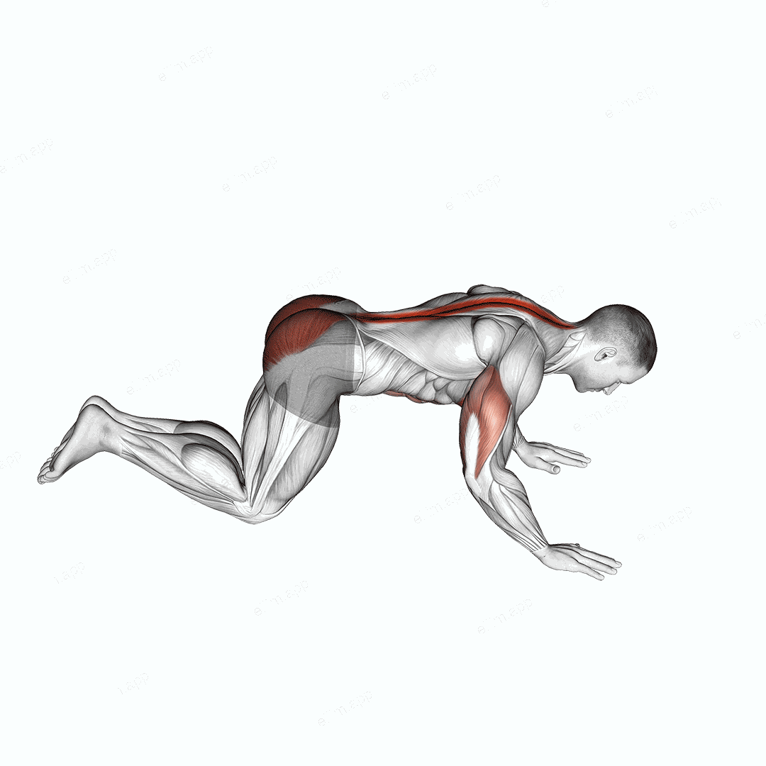 Kneeling Cobra Push up exercise targeting Chest and Hips