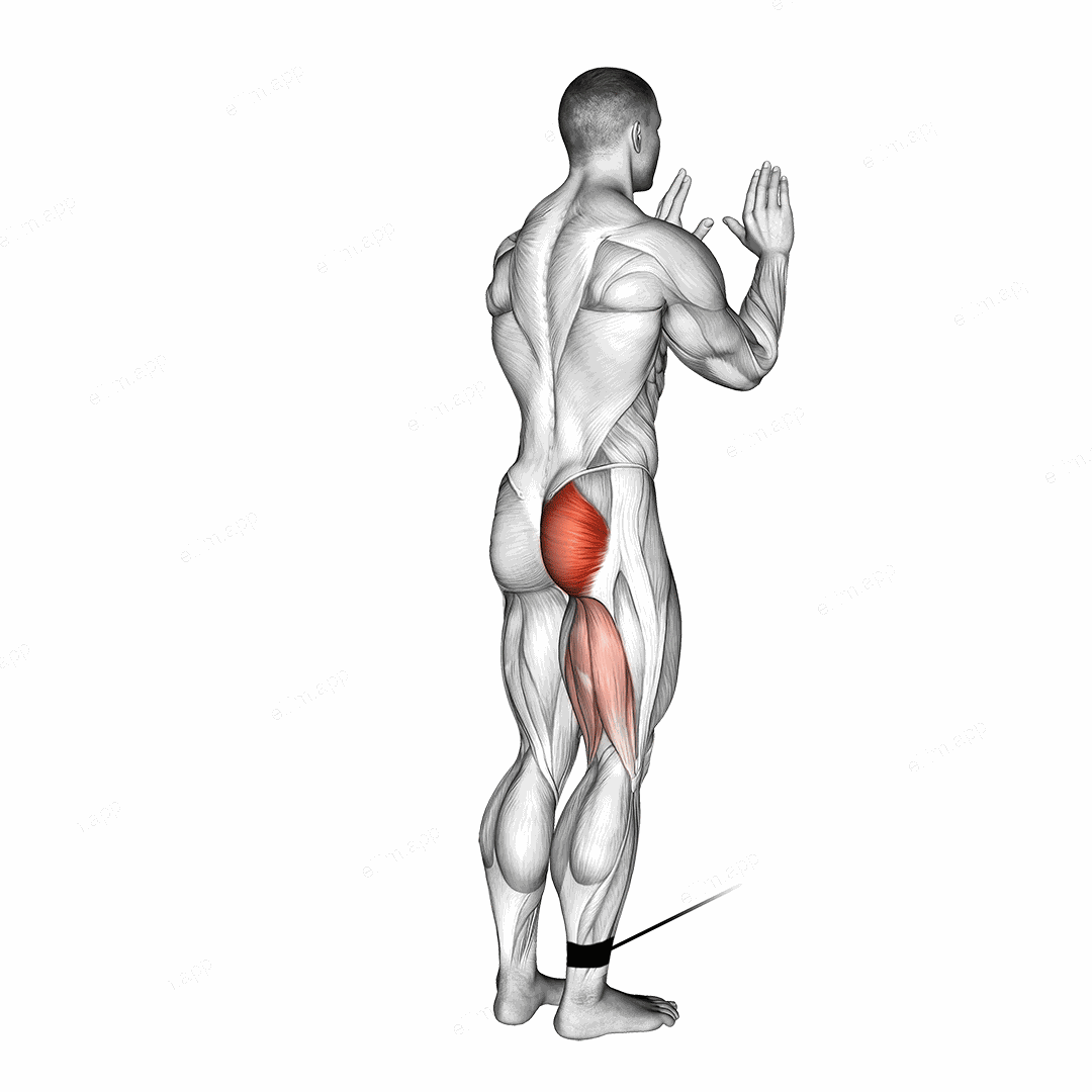 Cable Standing Hip Extension exercise targeting Hips and Gluteus Maximus