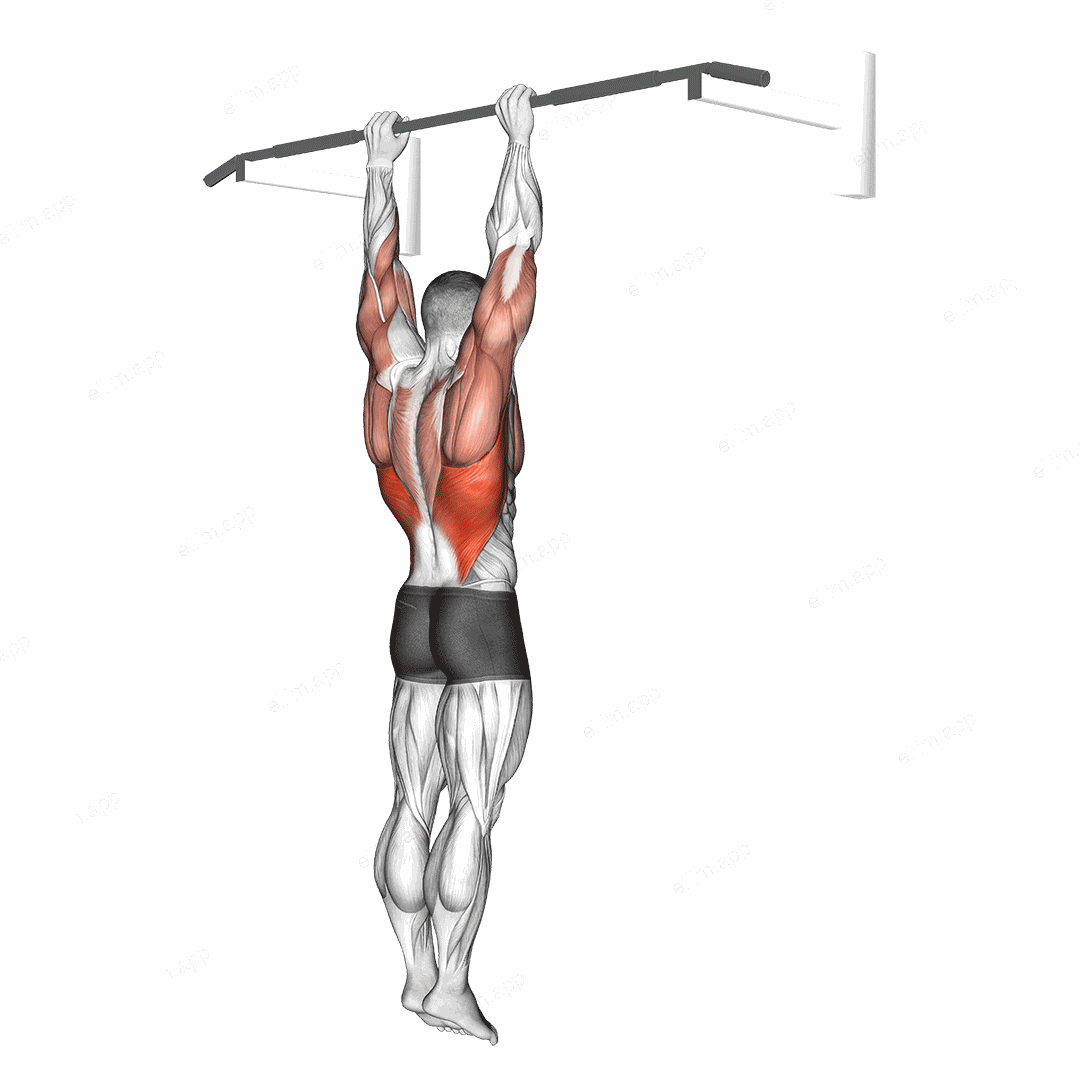 Shoulder Grip Pull-up exercise targeting Back and Latissimus Dorsi