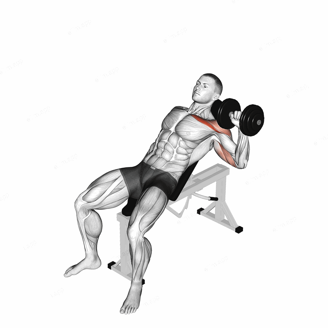 Dumbbell Incline One Arm Press exercise targeting Chest and Pectoralis Major Clavicular Head