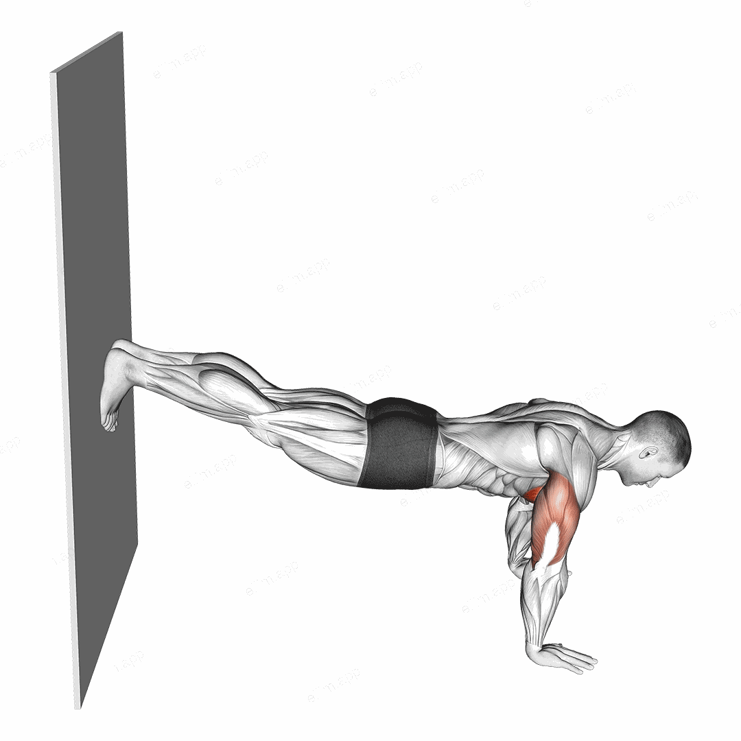 Decline Push Up against Wall exercise targeting Chest