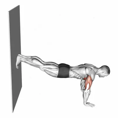 Decline Push Up against Wall exercise targeting Chest