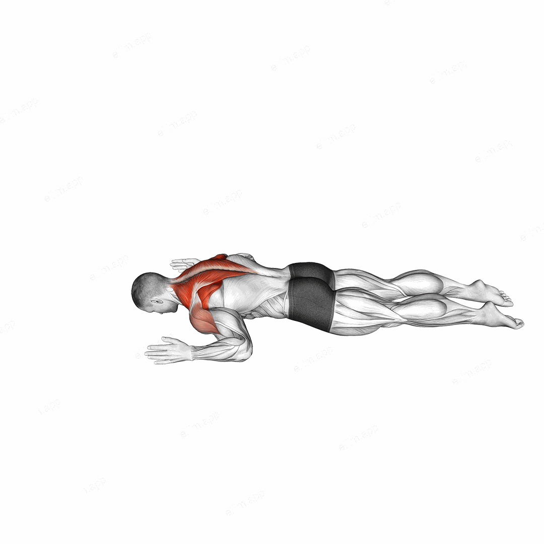 Lying Prone W to Y exercise targeting Back