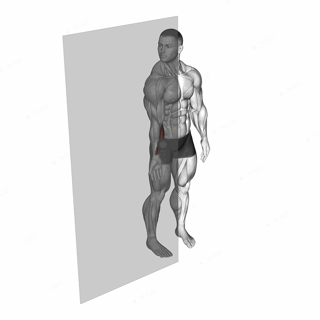 Roll Ball Forearm Flexors exercise targeting Forearms