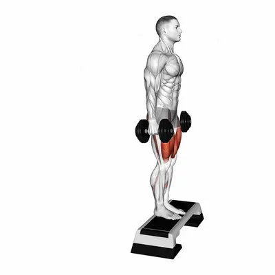 Dumbbell Reverse Lunge from Deficit exercise targeting Thighs