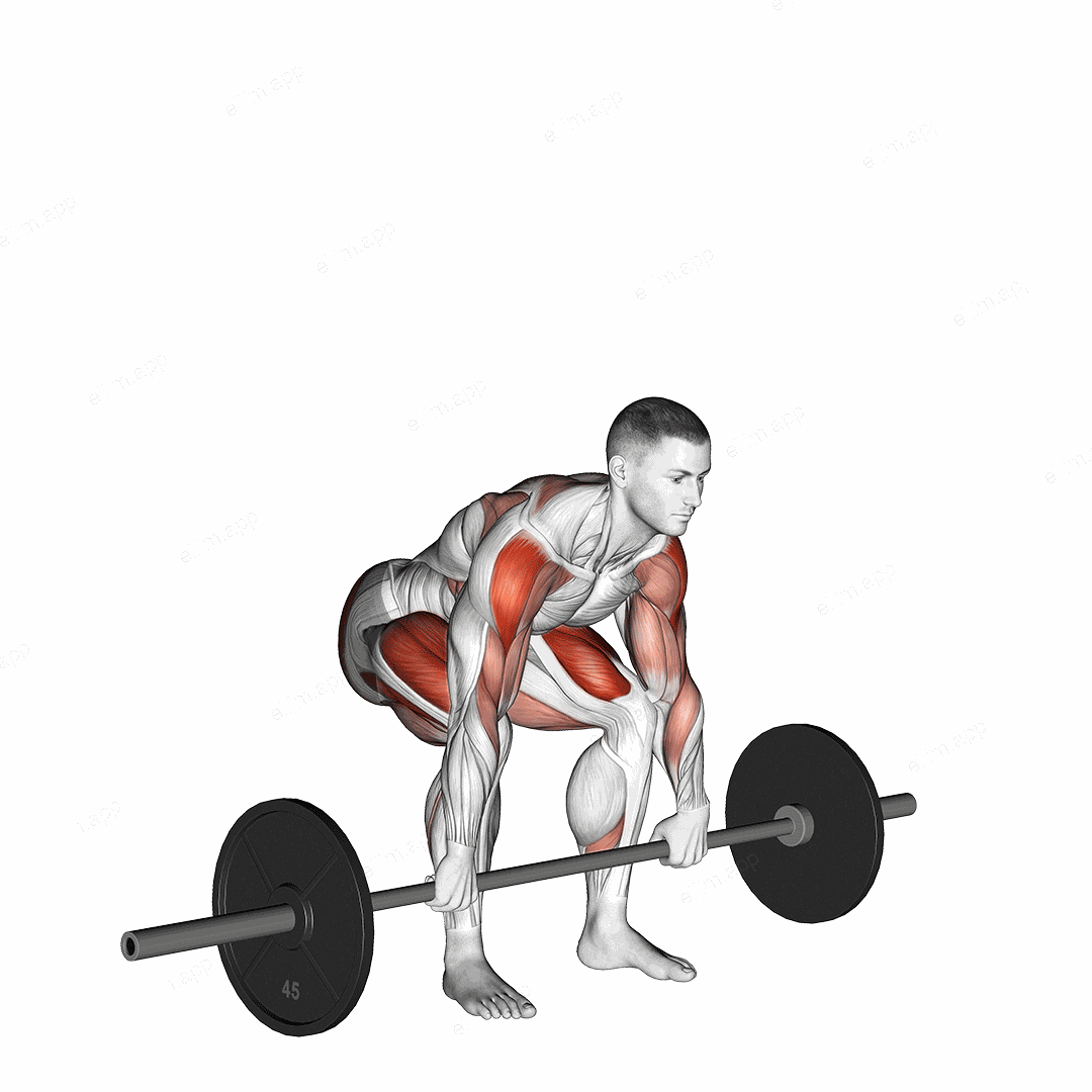 Barbell Clean High Pull exercise targeting Weightlifting and Deltoid Lateral