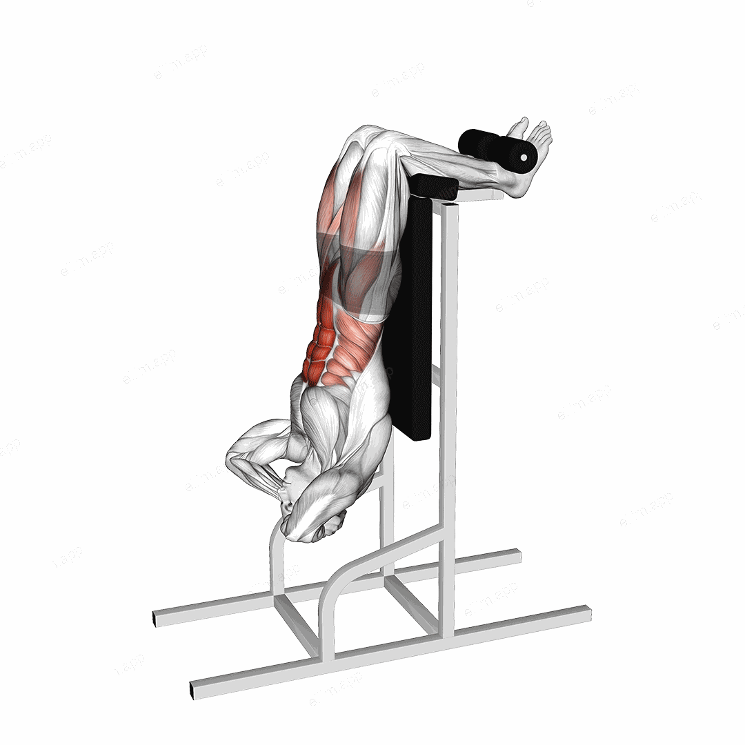 Vertical Sit-Up exercise targeting Waist and Iliopsoas