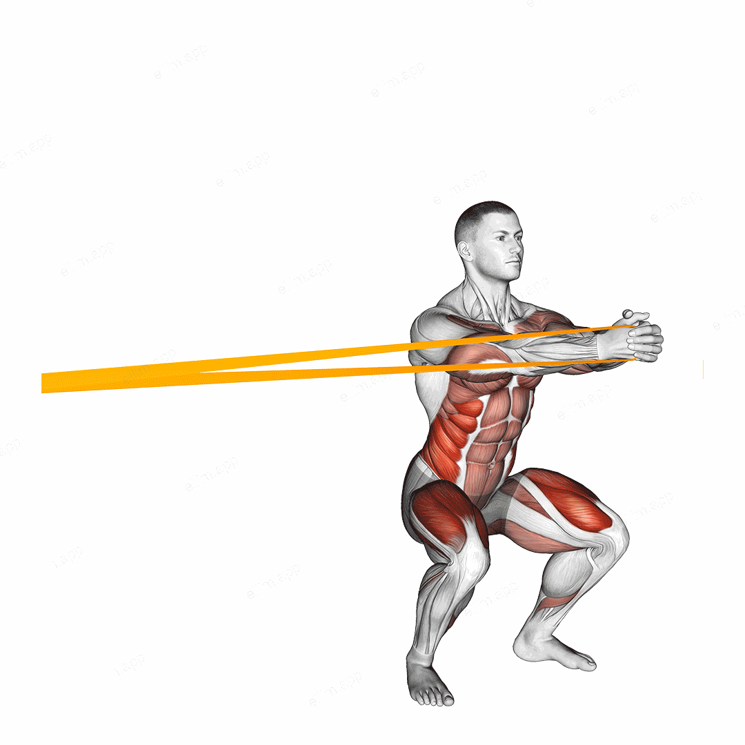Resistance Band Squat with Horizontal Pallof Hold exercise targeting Waist