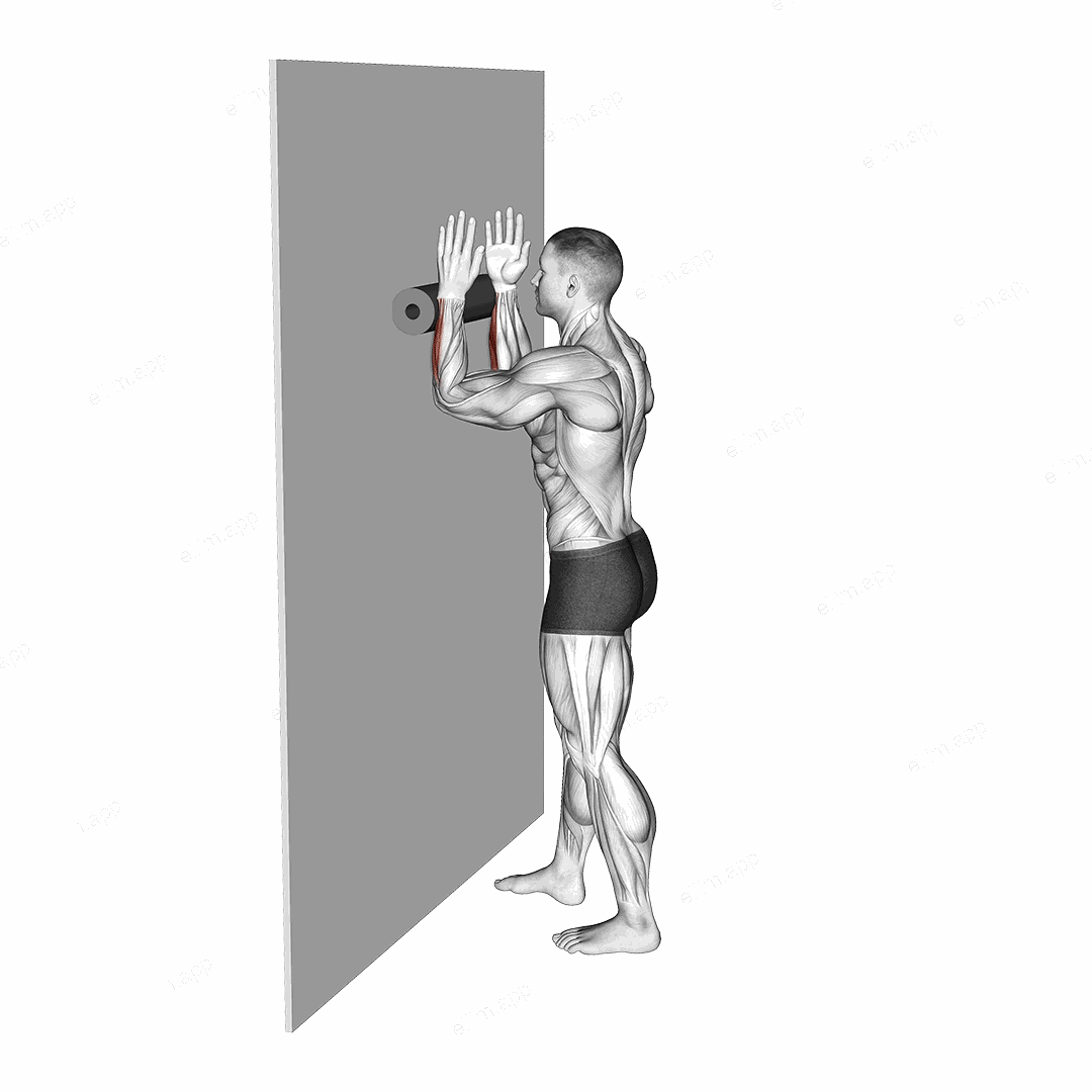 Roll Forearms Standing Against Wall exercise targeting Forearms