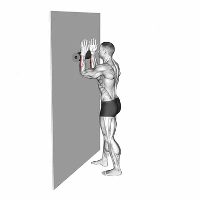 Roll Forearms Standing Against Wall exercise targeting Forearms