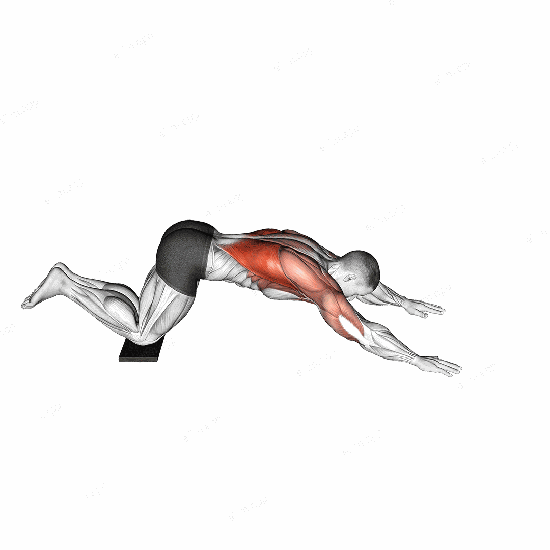 Sliding Floor Pulldown on Towel exercise targeting Back and Latissimus Dorsi