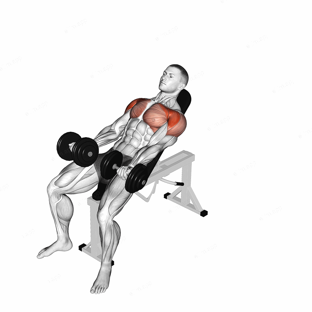 Dumbbell Incline Around the World exercise targeting Deltoid Anterior and Pectoralis Major Clavicular Head