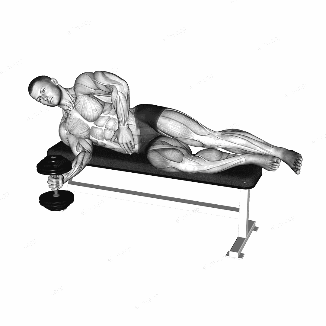 Dumbbell Lying Supination exercise targeting Forearms