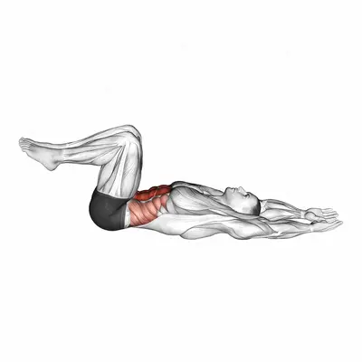 90 Degree Heel Touch exercise targeting Waist and Rectus Abdominis