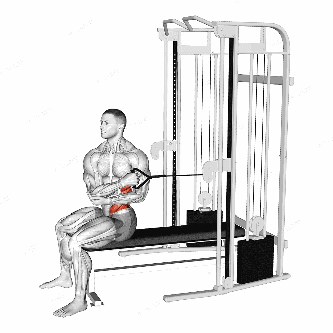 Cable Seated Cross Arm Twist exercise targeting Waist