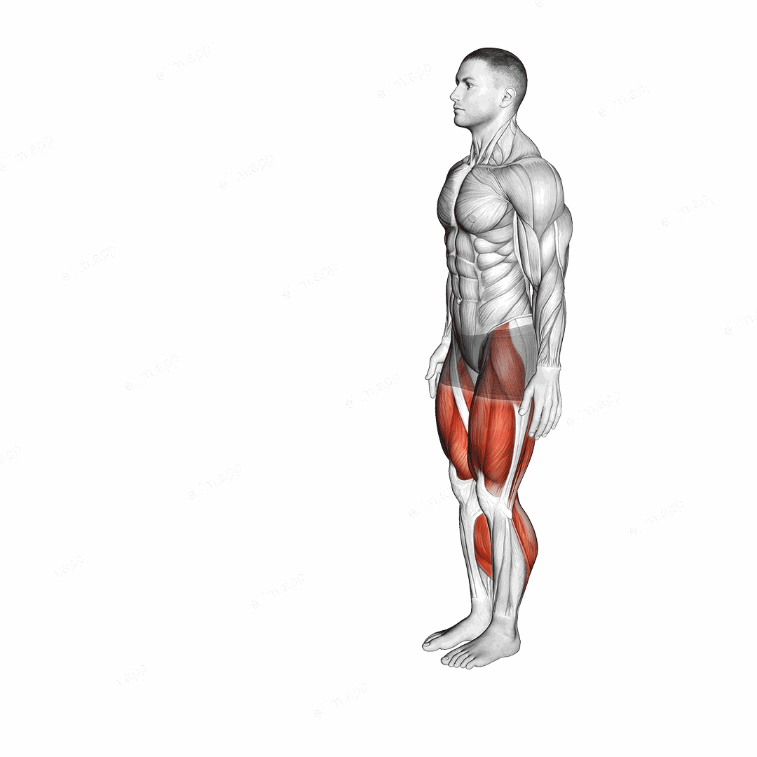 Heel to Toe Walk exercise targeting Plyometrics