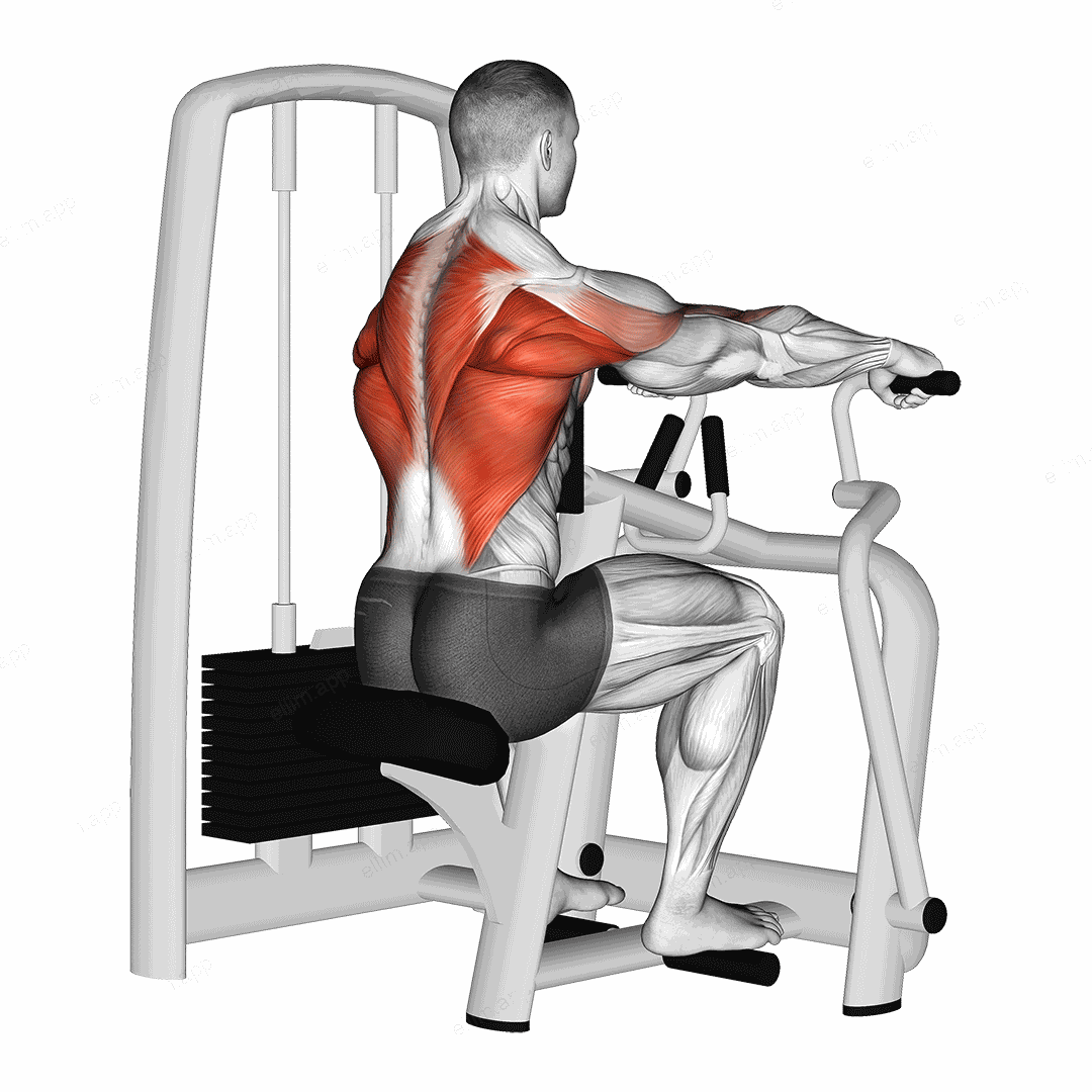 Lever Seated Row exercise targeting Back and Infraspinatus