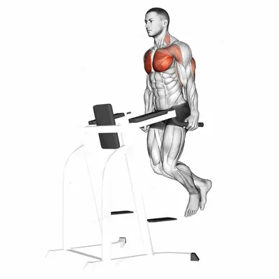 Chest Dip exercise targeting Chest and Pectoralis Major Sternal Head