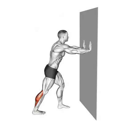 Heel Press exercise targeting Stretching