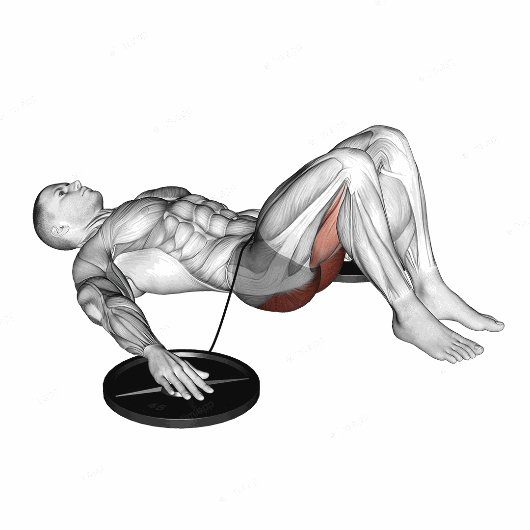 Band Hip Lift exercise targeting Hips and Gluteus Maximus