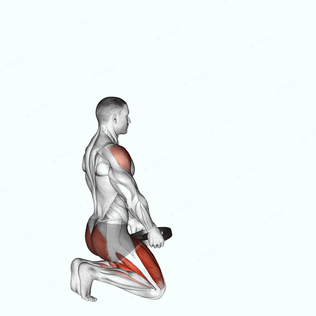 Weighted Kneeling Step with Swing exercise targeting Deltoid Anterior and Gluteus Maximus